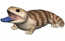 Figurine Shokugan Gashapon