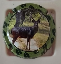 NEWS   CAPSULES DE CHAMPAGNE