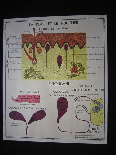 Y045 affiche scolaire ecole - y045,