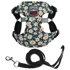 Harnais et laisse pour chiot