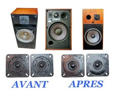 Enjoliveurs pour tweeter - enjoliveurs,