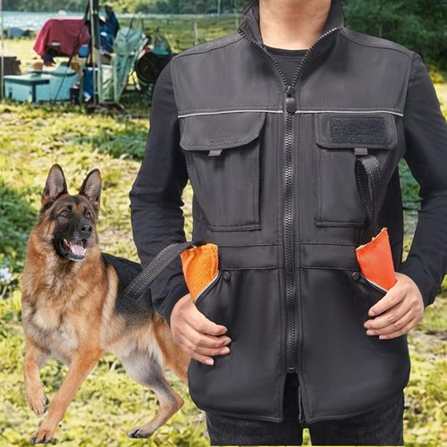 Gilet des gestionnaires - des,
