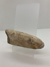 Belle tête de hâche polie Silex Néolithique Marne