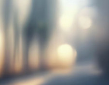 FlightSafety MANUEL FALCON 50