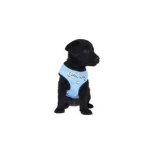 Harnais tee shirt good - harnais, dog