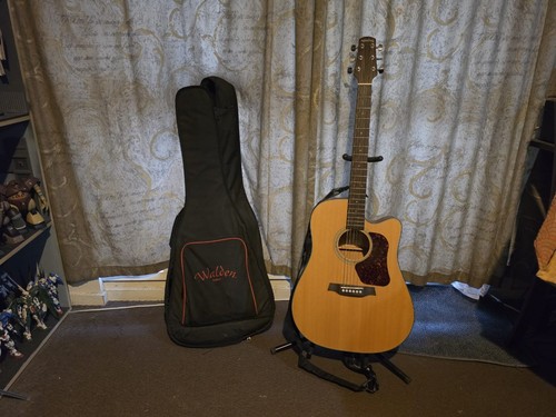 Walden d550ce acoustic guitar - guitar,
