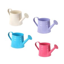 Mini Arrosoir Pot de Fleurs