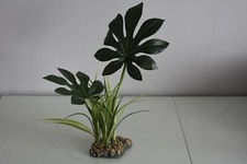 Terrarium Vivarium Large Jungle Canopée Plante 11 x 8 x 43 CM Reptiles