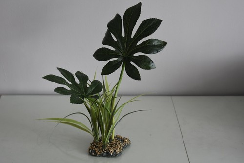 Terrarium vivarium large - terrarium,