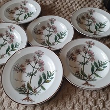 Lot N°1 De 6 ASSIETTES