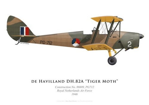 Print tiger moth - dh.82,
