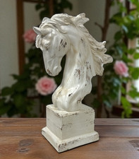 Noble buste cheval - buste,