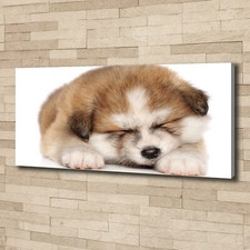 Tulup Image Sur Toile Tableau Imprimé 125x50cm - Chiot Akita