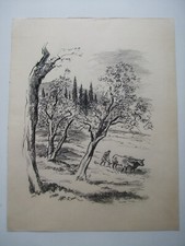 BERTHOLD-MAHN - Dessin original à l'encre sur papier Signé Beau Format Paysage