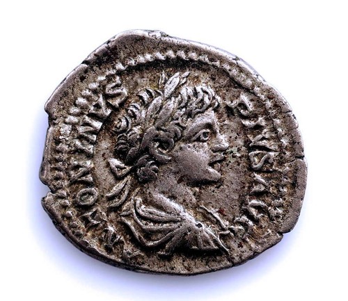 Roma imperio denier - roma,