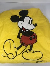 Disney World Mickey Mouse Rain