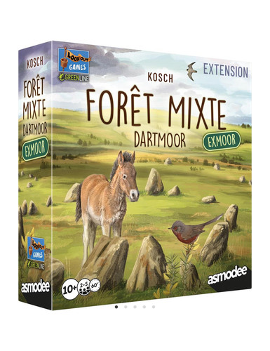 Forêt mixte dartmoor - forêt,