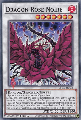 Dragon rose noire - yu-gi-oh!,