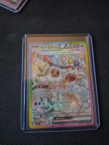 Carte pokemon evoli - carte,