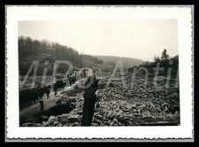 Photo, WW2, 342.I.D., France