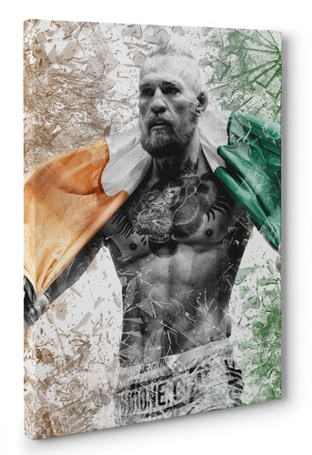 Conor mcgregor portrait framed - conor,