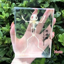 Presse-Papier Animal En