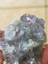 Très belle Tanzanite Fluorine