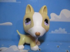 PETSHOP CHIEN BULL-TERRIER N°860