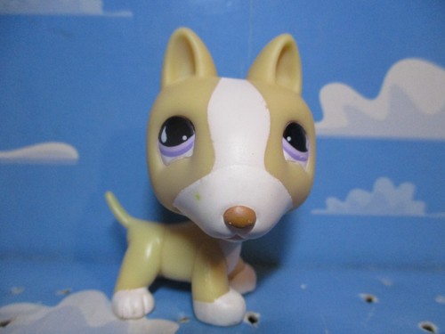 Petshop chien bull - petshop, bull-terrier