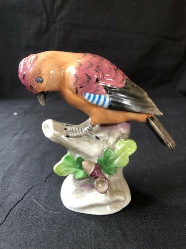 Oiseau porcelaine allemande - oiseau,