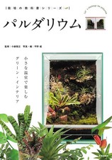 Paludarium Vert Intérieur À