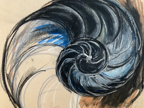 Très beau dessin 1960 - beau,