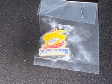 (V16) PINS BADGE ENAMEL