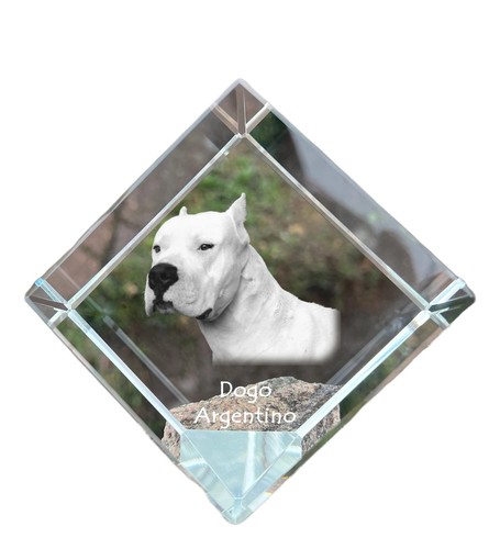 Collier pendentif argentin - collier,