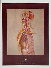 Affiche dessin anatomie - Langage - Francis de Perrois 1977