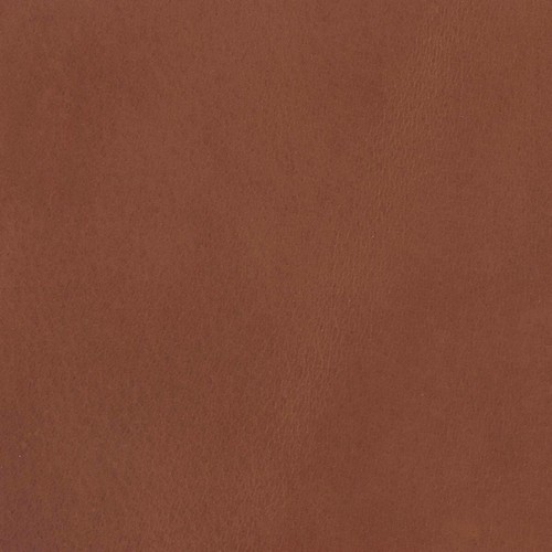 Morceau cuir croupon - morceau, de