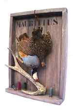 Nature morte perdrix francolin