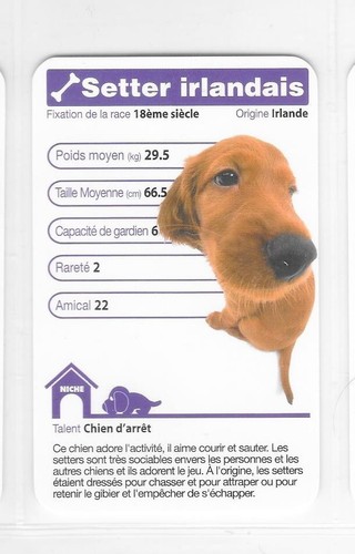 Carte top trumps chiens - -,