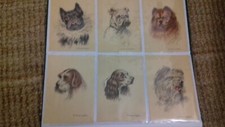 CPA 9 CARTES POSTALES CHIENS H VINCENT ANGLADE 1953 POSTCARD POSTKARTE CARTOLINA