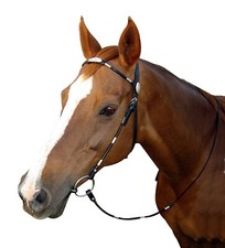 Bridon Western Tubulaire Avec Clouté Avec Fil Américain