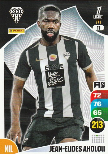 Carte foot panini - carte,