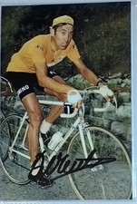 AUTOGRAPH EDDIE MERCKX EDDY MERCKX BELGIUM FOTO HAND SIGNED WIN 5 TOUR DE FRANCE