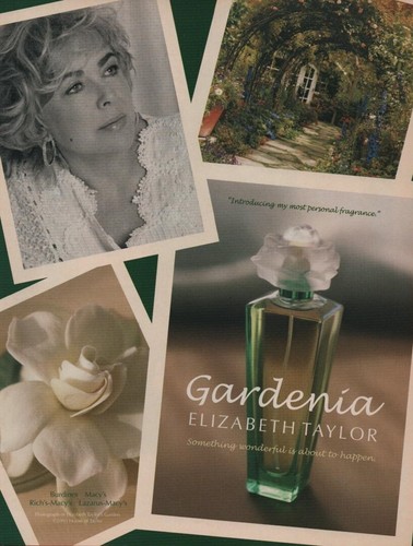 Publicité papier parfum - publicité,