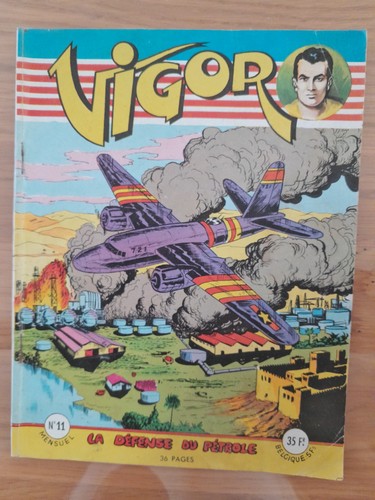 Vigor 11 artima - vigor,