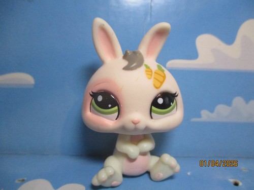 Petshop lapin nain 1855 - n°1855, /