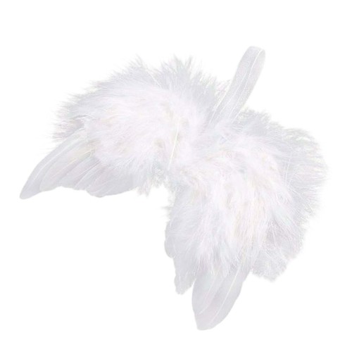 Ailes ange plumes - d'ange,