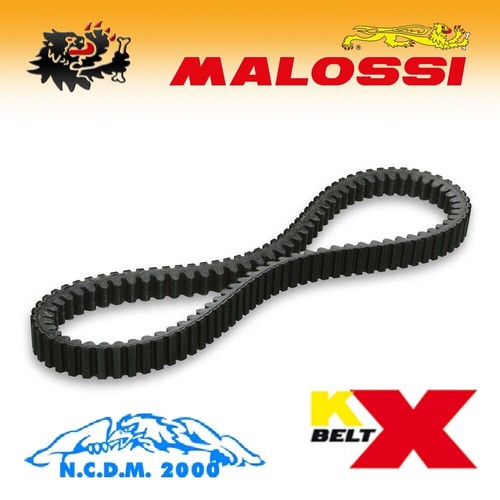 Malossi 6115125 courroie - 6115125,