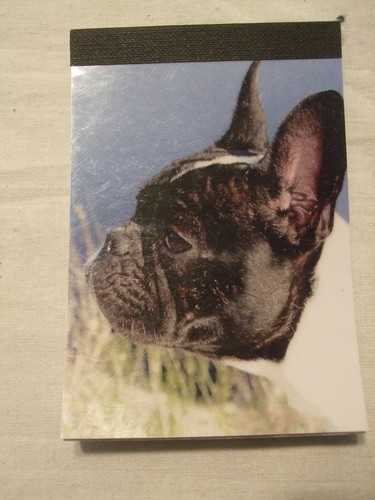 Carnet aimanté feuilles - carnet,
