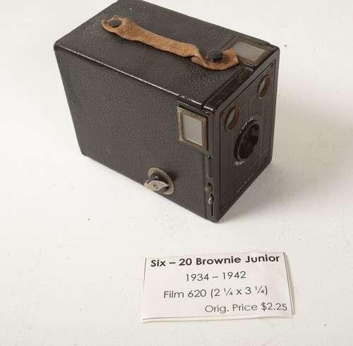 Six brownie junior box - 20,