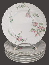6 assiettes plates Haviland